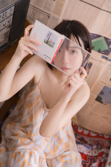 制裁者